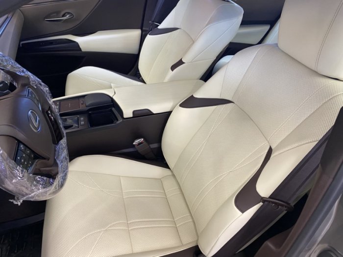 Лексус ЕС 250 антигравийная и детейлинг кожи салона