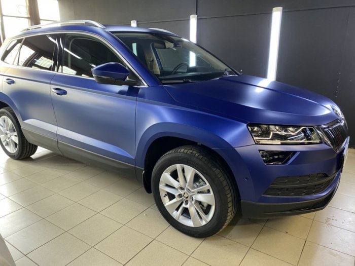 Шкода Карок антигравийная защита