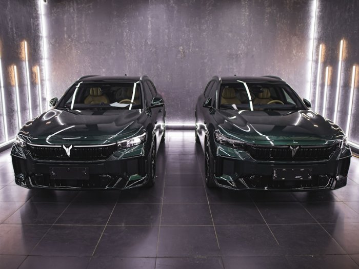 Voyah Free полировка двух автомобилей, защита капота, антихром, бронь лобового стекла