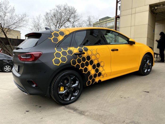 КИА Сид винилография «Соты»