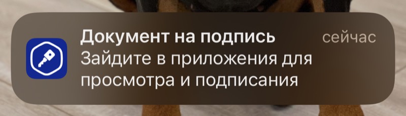 Уведомление о том, что надо подписать документы Уведомление о том, что надо подписать документы