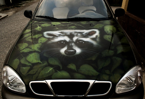 Рисунок енота на автомобиль