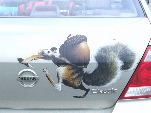 Белка с орехом на автомобиль наклейка