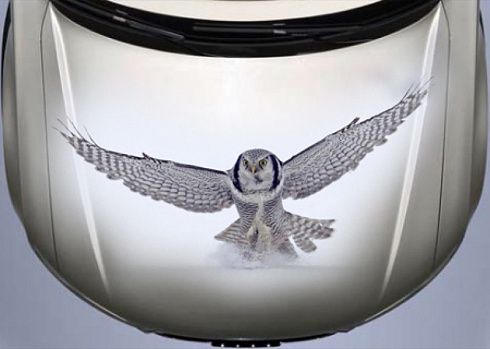 Рисунок совы на автомобиль аэрография винилография