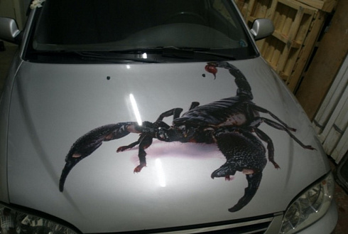 Скорпион изображение картинка на авто виниловая пленка