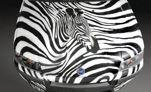 Автомобиль аэрография на капот зебра винилография наклейка