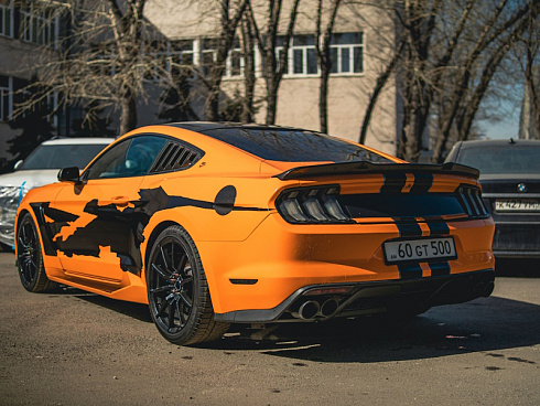 винилография