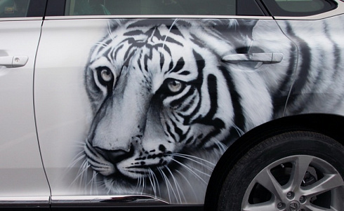 Аэрография винилография тигр на двери авто