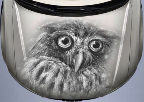 Винилография совы на капот аэрография