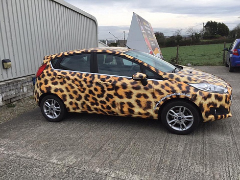 Винилография леопард