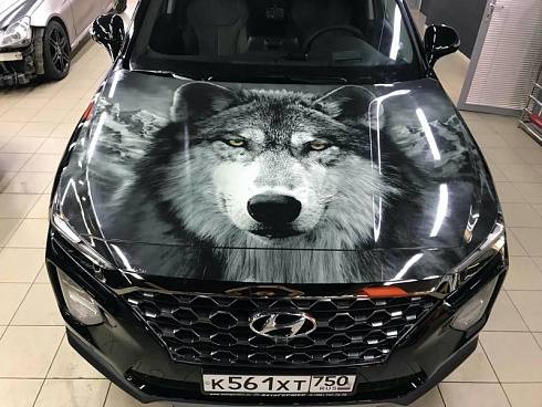 Аэрография волка винилография на машину