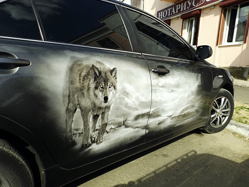 Картинка собаки на авто