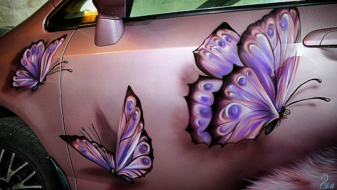 Бабочка на двери автомобиля