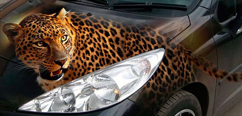 Гепард на авто винилография аэрография
