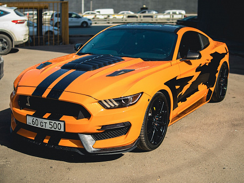 аэрография на мустанге