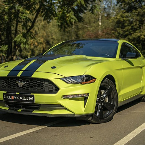 Винил или полиуретан? Как выбрать?