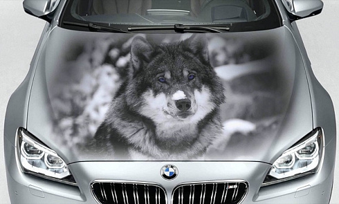 Аэрография или винилография собака картинка на кузов машины