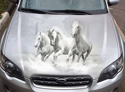 Винилография на авто с изображением лошади или коня