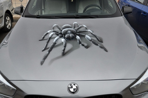 Паук винилография на машину пленкой