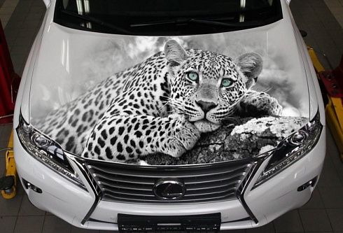Черно-белый леопард на капоте машины наклейка
