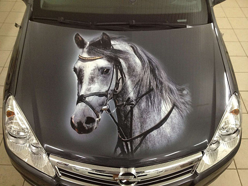 Винилография коня на капот авто