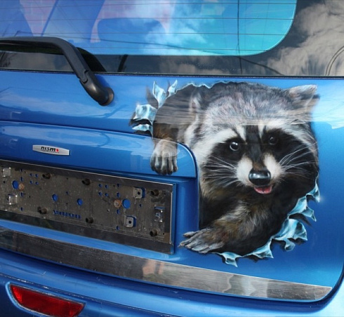 Аэрография енот на авто винилография