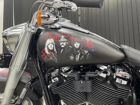 Защита уязвимых частей на Harley-Davidson