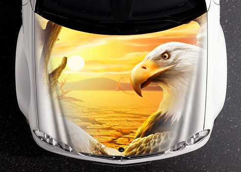 Орел на капот машины