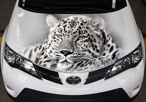 Винилография на авто с изображением Леопард