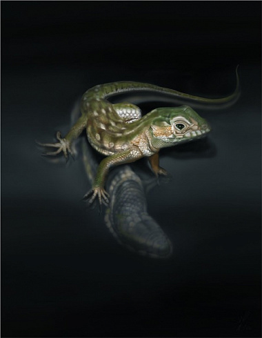 Ящерица объемная картинка на авто