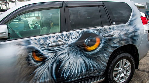 Изображение совы на двери авто винилография