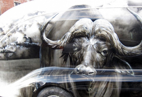 Бык буйвол аэрография винилография наклейки