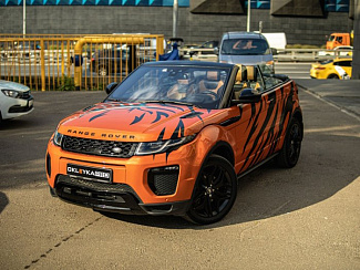 Тигриный узор на авто