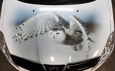 Аэрография совы на капот винилография