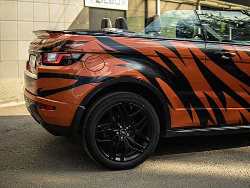 тигриная шкура на авто