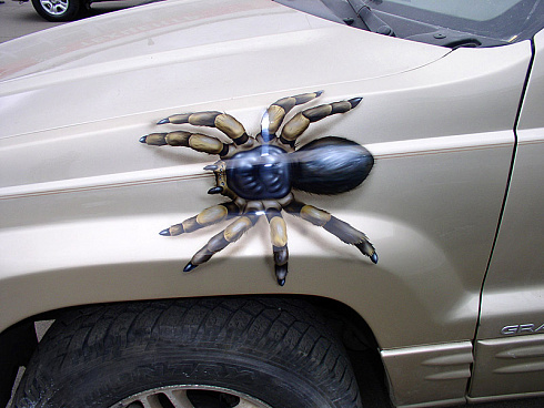 Объемный паук на авто наклейка