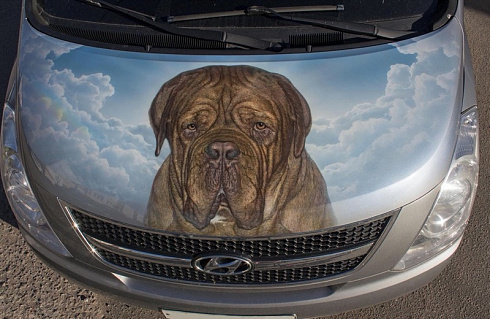 Изображение собаки на авто нанести