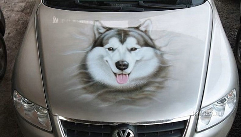 Винилография или аэрография на капот автомобиля собака