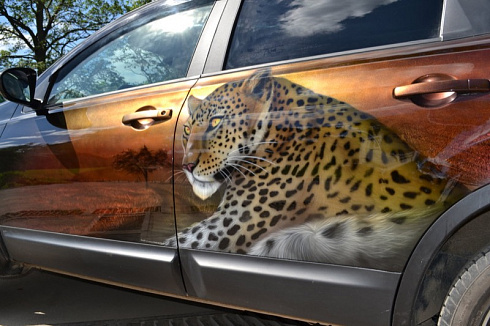 Изображение гепарда на машину аэрография винилография наклейки