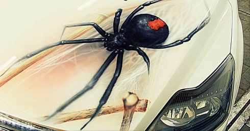 Аэрография винилография с изображением паука