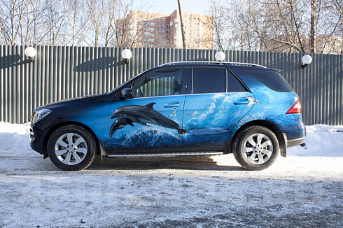 Дельфины аэрография